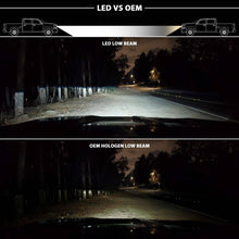 Load image into Gallery viewer, ANZ-111465_02.jpg
