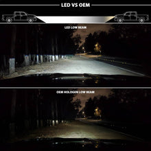 Load image into Gallery viewer, ANZ-111494-R_02.jpg
