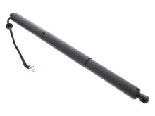 Load image into Gallery viewer, Hatch Shock
