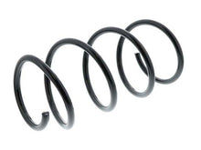 Load image into Gallery viewer, Coil Spring
