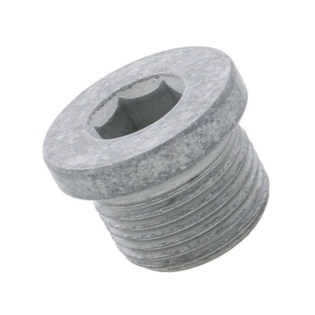 Engine Oil Drain Plug