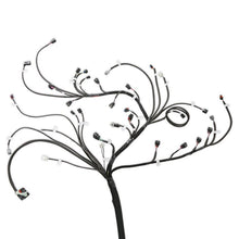 Load image into Gallery viewer, STE-Kits 4.jpg

