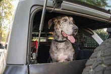 Load image into Gallery viewer, DV8 Offroad 2021-2024 Ford Bronco Dog Barrier
