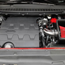 Load image into Gallery viewer, Photo - Mounted
