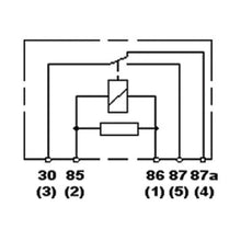 Load image into Gallery viewer, Technical Drawing
