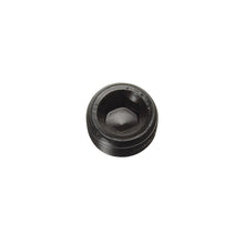 Load image into Gallery viewer, Russell Performance 3/8in Allen Socket Pipe Plug (Black) Russell
