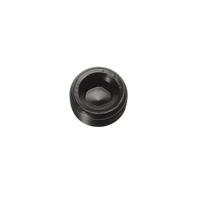 Russell Performance 3/8in Allen Socket Pipe Plug (Black) Russell