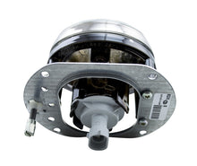 Load image into Gallery viewer, Photo - Unmounted
