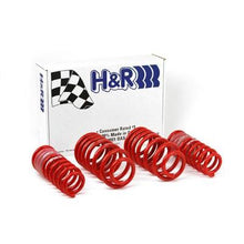 Load image into Gallery viewer, H&amp;R 96-01 Audi A4 Quattro (AWD) B5 Race Spring
