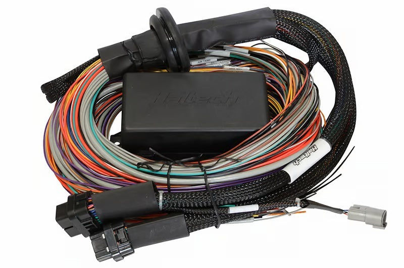 Haltech Universal Elite 2500/2500 T Premium Wire-In Harness Wiring Harnesses Haltech   