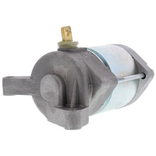 Load image into Gallery viewer, Arrowhead Mitsuba 12V 9T Str Uncategorized Arrowhead   
