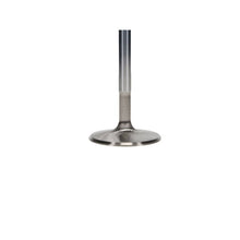 Load image into Gallery viewer, User 3
