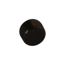 Load image into Gallery viewer, Aeromotive AER15729 Aeromotive Fitting - Plug - 3/8in NPT
