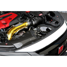 Load image into Gallery viewer, APR Performance CF-917001 APR Honda Civic Type R Radiator Cooling Plate 2017-Up (Center)
