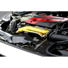 Load image into Gallery viewer, APR Performance CF-917022 APR Honda Civic Type R Radiator Cooling Plate Kit 2017-Up
