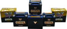 Load image into Gallery viewer, Twin Power YTX-14L Shocker Gel Battery Replaces H-D 65958-04 220 CCA Misc Powersports TwinPower

