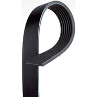 Gates 02-04 Toyota Camry 4-Cyl. 2.4L Serpentine Standard V-Ribbed Belt | 7PK1930