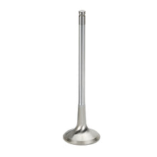 Load image into Gallery viewer, Supertech BMW S85 V10 Inconel Exhaust Valve - +2mm Oversize - Set of 20 Supertech
