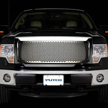 Load image into Gallery viewer, Putco 09-12 Ford F-150 (Bar Style) - Punch Grille Insert - Cut to Fit Design Designer FX Grilles Grilles Putco
