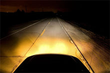 Load image into Gallery viewer, Putco Jet Yellow H1 - Pure Halogen HeadLight Bulbs Bulbs Putco
