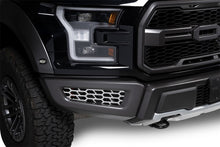 Load image into Gallery viewer, Putco 18-20 Ford F-150 Raptor - Hex Shield - Polished SS Bumper Grille Inserts Grilles Putco
