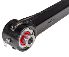 Load image into Gallery viewer, Photo - Close Up
