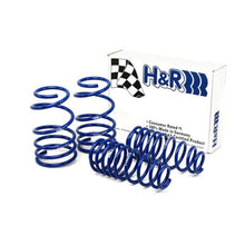 Load image into Gallery viewer, H&amp;R 05-09 Ford Mustang/Convertible/GT/Shelby GT/Shelby GT-H V6/V8 Super Sport Spring
