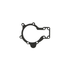 Load image into Gallery viewer, Photo - Primary
