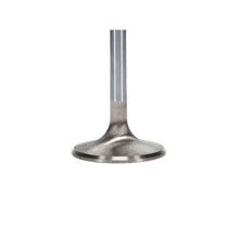 Load image into Gallery viewer, User 3
