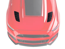 Load image into Gallery viewer, Photo - Primary
