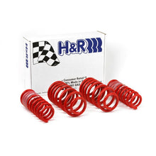 Load image into Gallery viewer, H&amp;R 96-01 Audi A4 Quattro (AWD) B5 Race Spring
