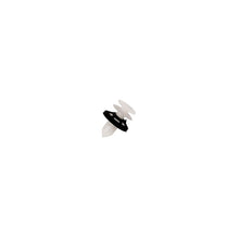 Load image into Gallery viewer, Photo - Unmounted
