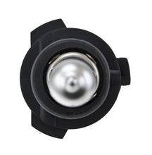 Load image into Gallery viewer, Photo - Close Up
