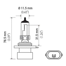 Load image into Gallery viewer, Technical Drawing
