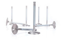 Load image into Gallery viewer, Photo - Primary
