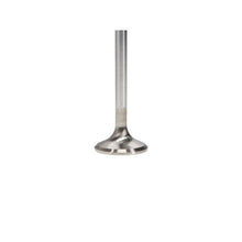 Load image into Gallery viewer, User 3
