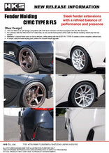 Load image into Gallery viewer, HKS Fender Molding FL5 | 53004-AH005
