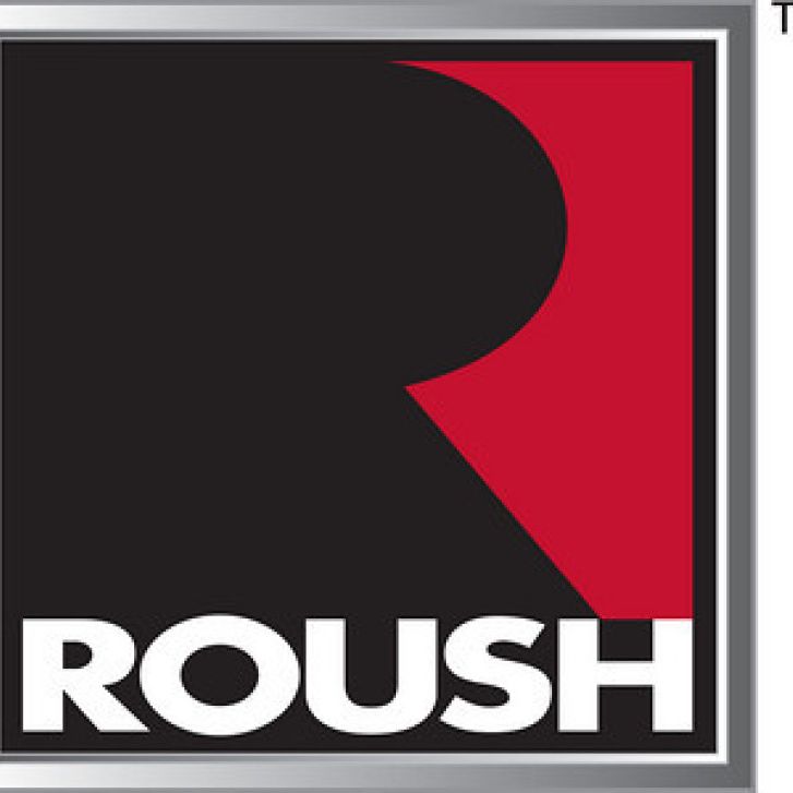 ROUSH FEAD Serpentine Belt 6K 3200 Length Roush