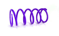 EPI 16+ Can-Am 800-1000 Maverick/Defender/Commander/ X3 Primary Spring Dark Purple | CAPS5