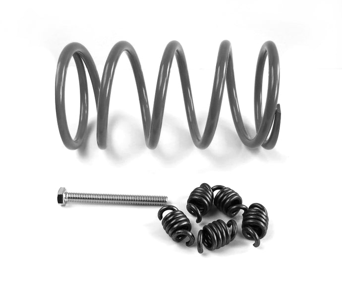 EPI EPIWE437495 EPI 17-19 Cub Cadet 550 Challenger Stock Tires Low Elev. Sport Utility Clutch Kit