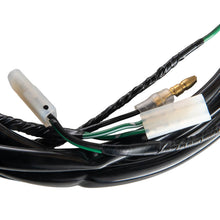Load image into Gallery viewer, ARB Ascent Canopy Replacement Side Window Wiring Loom | 667PJ004SP
