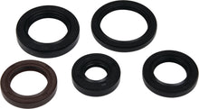 Load image into Gallery viewer, Vertex Gaskets 05-23 Polaris Phoenix 200 Oil Seal Kit Vertex Pistons
