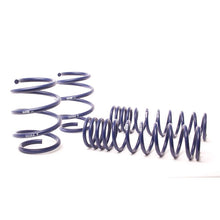 Load image into Gallery viewer, H&amp;R 96-03 BMW 540i Sport E39 Sport Spring (Non Touring)
