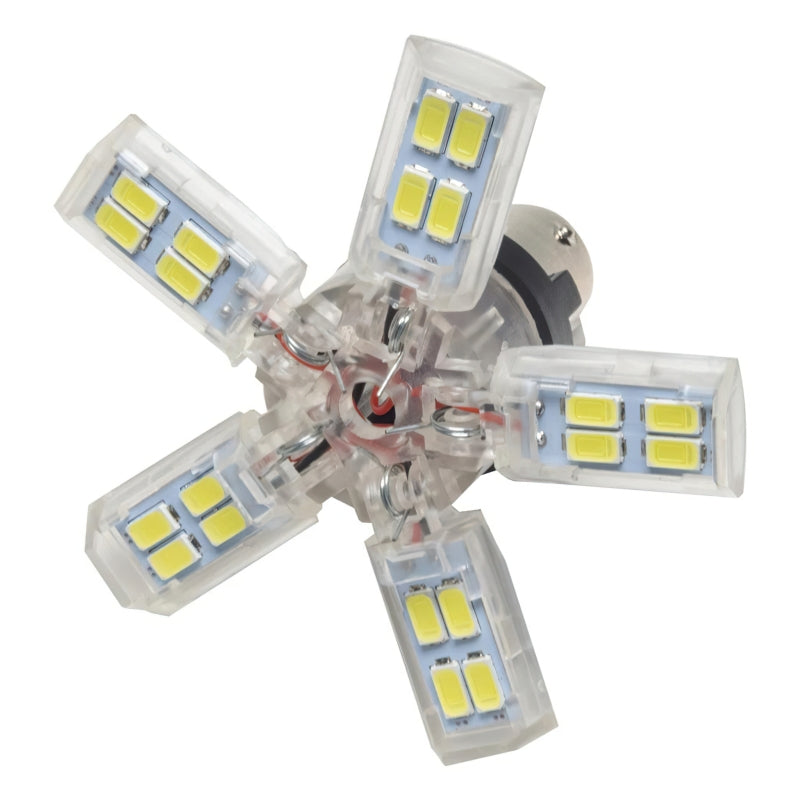 Oracle 1156 15 SMD 3 Chip Spider Bulb (Single) - Cool White SEE WARRANTY Bulbs ORACLE Lighting