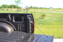 Load image into Gallery viewer, Deezee 15-23 Ford F150/Super Duty Cargo Management - Tie Downs (Pair) Cargo Tie-Downs Dee Zee
