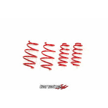 Load image into Gallery viewer, Tanabe NF210 Springs 2016 Scion iM | TNF191
