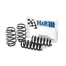 Load image into Gallery viewer, H&amp;R 09-19 Ford Flex (2WD/AWD) Sport Spring
