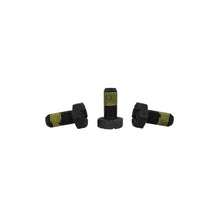 Load image into Gallery viewer, Ford Racing Hardware Kits - Other Ford Racing 2015-2018 Mustang Super 8.8 Ring Gear Bolt Kit (10pcs)
