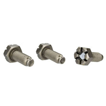 Load image into Gallery viewer, Ford Racing Hardware Kits - Other Ford Racing 4.6L Manual Flywheel Bolts
