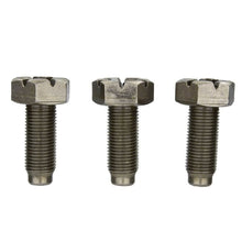 Load image into Gallery viewer, Ford Racing Hardware Kits - Other Ford Racing 4.6L Manual Flywheel Bolts

